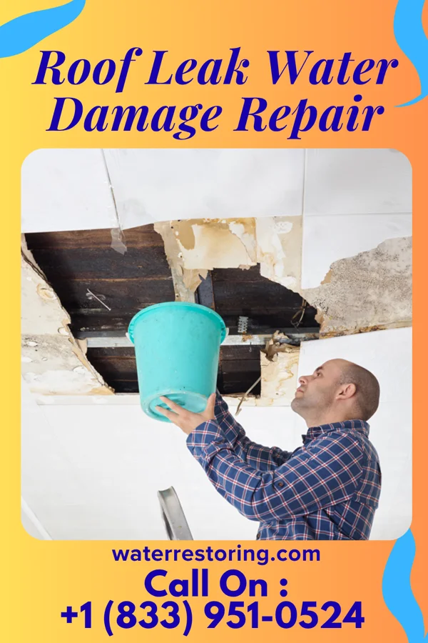 Roof Leak Water Damage Repair in North Oaks, MN